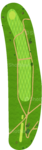 No.