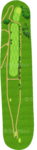 No.