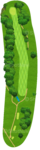 No.