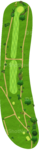 No.
