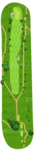 No.