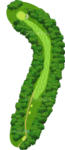 No.