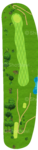 No.