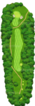 No.