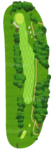 No.
