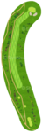 No.
