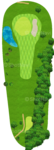 No.