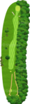 No.