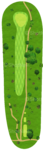 No.