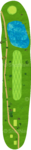 No.
