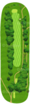 No.