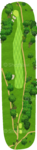 No.