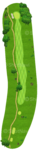 No.