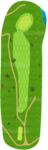 No.