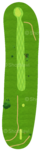 No.