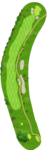 No.