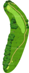 No.